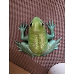 Resin Frog Figurine - Light and Dark Green