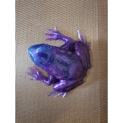 Resin Frog Figurine - Purple and Blue