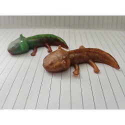 £1 Box - Axolotl (Colours...